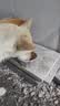 鼎鑫狗粮5kg牛肉粒双拼通用幼犬老年犬粮训犬小中大型成犬狗粮 实拍图