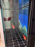 森森（SUNSUN）大型鱼缸底过滤水族箱客厅家用落地玻璃生态金鱼缸 超白款升级底滤 1.2米长42cm宽（黑白灰可选） 实拍图