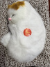 毛绒仿真猫会叫睡猫汽车摆件竹炭垫子猫净化空气家居装饰礼品玩偶 款式1 晒单实拍图