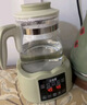 小壮熊婴儿恒温壶 调奶器烧水壶 暖奶器 恒温热水冲泡奶粉水壶 绿色1.3L 实拍图