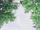 小米小爱音箱Play 小爱同学 AIoT语音控制 蓝牙Mesh网关 智能音箱音响 小爱音响 家用 实拍图
