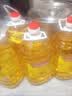 元宝 食用油 转基因大豆油 5L 浸出工艺 实拍图