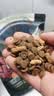 愛肯拿（ACANA）狗粮清火鸭肉梨成犬幼犬低敏去泪痕通用原装进口粮2kg效期27/8 实拍图
