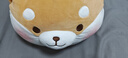 名创优品（MINISO）趣味阿柴弹力超柔趴姿公仔毛绒玩偶儿童玩具抱枕靠枕生日礼物女 实拍图