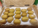 佳沛（zespri）新西兰 阳光金果18粒超大果原箱单果175-204g 猕猴桃水果礼盒 实拍图