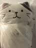 HAPiNS情人节礼物抱枕猫咪公仔玩偶可爱毛绒布玩具生日礼物男生送女友 FFN抱枕玩偶（奶酪猫） 75cm 实拍图