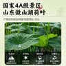优卓特级荷叶茶250g  荷叶颗粒纯荷叶无添加泡水喝的花草茶罐装 实拍图