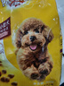 宝路狗粮 成犬全价粮 中小型犬泰迪茶杯犬柯基 牛肉味 500g 实拍图