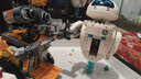 乐高（LEGO）积木迪士尼43279 瓦力与伊娃机器人男女孩玩具七夕情人节礼物 实拍图