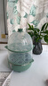 九阳（Joyoung）煮蛋器多功能智能蒸蛋器 14个蛋量 ZD14-GE140（飞泉绿） 实拍图