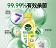 滴露（Dettol）洗衣机清洁剂杀菌除垢消毒滚筒洗衣机槽清洗剂250ml*6金装柠檬 实拍图