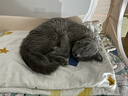 澳龙AD犬猫主食罐头湿粮主食罐情绪舒缓营养补充康复护理湿粮85g*3 实拍图