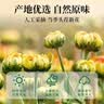 福茗源花草茶 菊花茶胎菊250g 特级无硫头采胎菊茶白菊花蕾泡水喝养生茶 实拍图