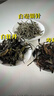 福茗源茶叶白茶 云南月光白毫银针 2017古树花果香散茶叶自己喝罐装70g 实拍图