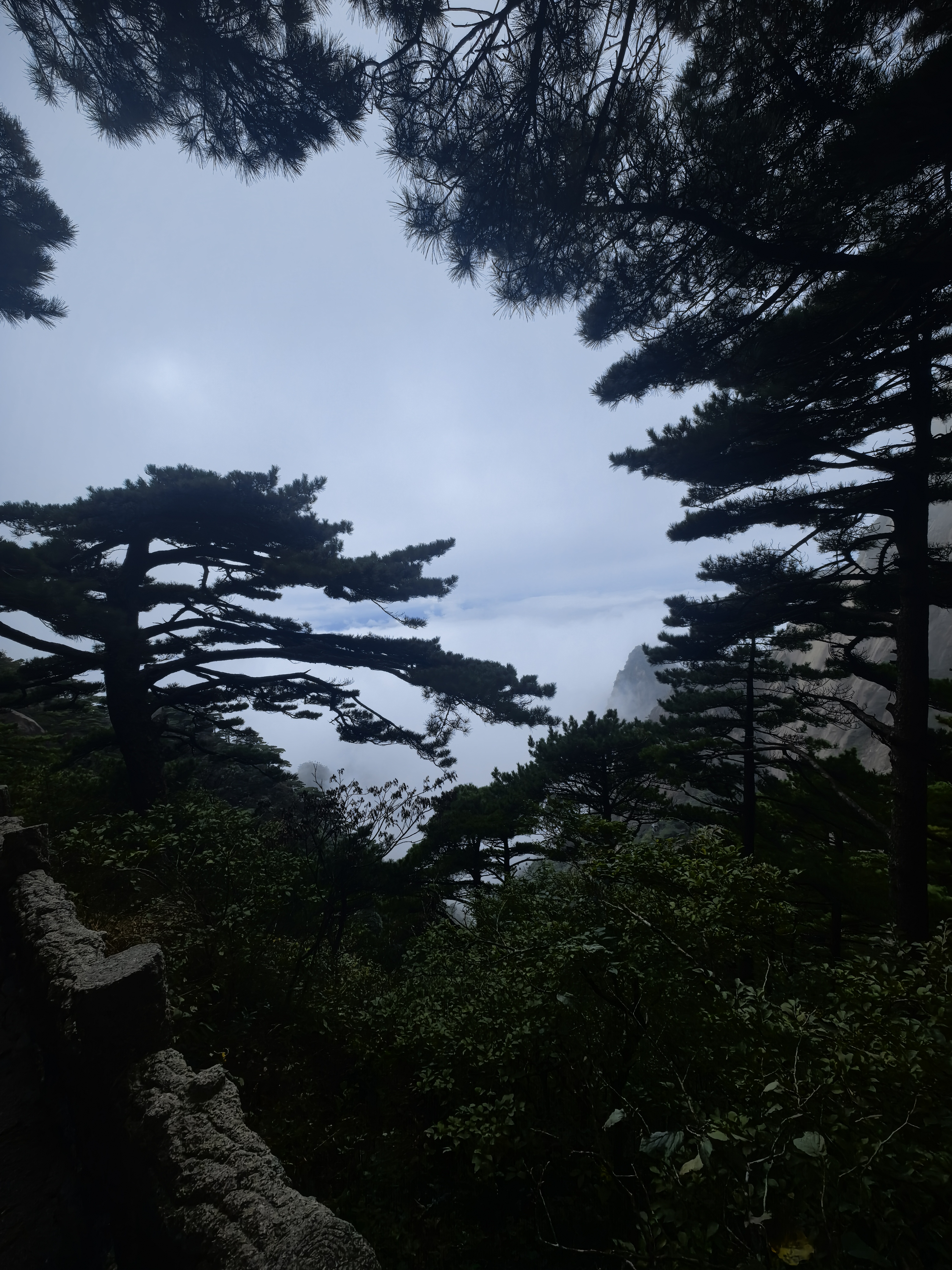 天堂伞 双人晴雨伞三折 太阳伞三折10骨加大双人超大加固 曜石黑 实拍图
