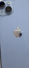 Apple苹果iPhone 17/16/15/14/13/12/11/X系列pro max air mini plus e二手手机 苹果 iPhone 13 mini 实拍图