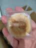 徽城记黄山烧饼150g*6袋安徽特产独立包装零食小吃正宗梅干菜扣肉早餐饼 黄山烧饼【原味30+辣味30】 实拍图
