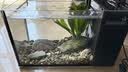 疯狂水草天然贝壳海螺适配小米鱼缸造景水族箱全套布景海星装饰生态摆件 溪流缸造景套餐（适合20-30cm鱼缸） 实拍图