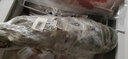 鲟食 海捕东星斑鱼 鲜活冷冻石斑鱼生鲜鱼类节日送礼佳品 海捕东星斑 1100-1200g/条 实拍图