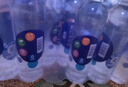 依能苏打水饮料 青柠檬味500ml*24瓶+锌强化500ml*24瓶 无糖弱碱 实拍图