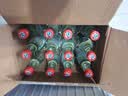 牛栏山 陈酿 白牛二 白瓶 口粮酒 浓香风格 42度 500ml*12瓶 整箱装 实拍图