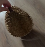 京严小铁锅一人食炒锅日式迷你无涂层炒菜不粘锅平底辅食锅电磁炉燃气 【0涂层｜带锅盖】适合2-3人 24cm 锤纹锻打｜双倍防锈｜不挑灶具 实拍图