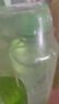 珍珠湾竹叶薄荷水低脂低卡夏日解暑薄荷味苏打天然水饮品325ml*10瓶1箱 实拍图