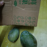 京喜加四川凯特芒大脸芒水果芒果新鲜上市 带箱2斤【单果300g以上】 实拍图