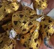 好时Kisses多口味糖果巧克力500g 休闲零食 婚庆喜糖 伴手礼 生日礼物 实拍图