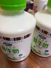 青海湖 鲜牛奶500ml 巴氏杀菌 早餐 营养 实拍图