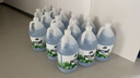 龟牌（Turtle Wax）冰蜡防冻玻璃水乙醇-25°汽车冬季去油膜特斯拉奔驰宝马2L*2瓶 实拍图