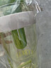 【京东物流】水杯冰霸吸管杯高颜值学生茶水分离大容量杯子 肚肚杯1个-浅绿色 实拍图
