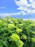 劲度N95型口罩医用一次性防护口罩双层熔喷布防细菌飞沫雾霾成人100只 实拍图