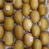 佳沛（zespri）新西兰 阳光金奇异果30-33粒原箱单果103-124g 猕猴桃水果礼盒 实拍图