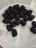 怡颗莓【商超品质】当季云南树莓黑莓 国产新鲜树莓大果 生鲜水果送礼 云南黑莓125g*2盒（果径15~25mm） 实拍图