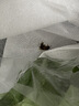 【烧烤季】白蘑菇(口蘑) 230g 实拍图
