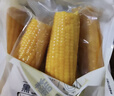 东北农嫂黄糯玉米穗1.32kg约6穗软糯香低脂粗粮出口品质吉林原产 【软糯香】黄糯玉米穗1.32kg 约6穗 实拍图