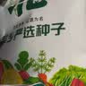 北蔬 红皮豆角种子苗夏秋季室外易种植长豇豆种籽 春秋红豇豆种子100g 实拍图