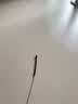 欢宠网猫玩具猫咪吸盘逗猫棒自动羽毛自嗨解闷神器铃铛猫猫幼猫小猫宠物 实拍图