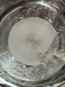 OIDIRE（偶点）酸奶机 家用小型全自动恒温酸奶机酵素机米酒机纳豆智能精控温发酵机1L大容量不锈钢内胆 升级款 | 一键做酸奶（带陶瓷分杯*4）·云柔白 实拍图