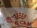 皇家猫粮 英短成猫粮 BS34 通用粮 12月以上 10KG 实拍图