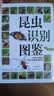 昆虫识别图鉴 实拍图