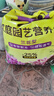 史丹利兰花专用土君子兰蝴蝶兰营养土松树皮泥炭种植盆栽养花土壤10L 实拍图
