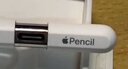 Apple/苹果 Pencil(USB-C) 磁吸触控笔手写笔苹果笔电容笔iPad笔 适用iPad(A16)/mini/Pro/Air 实拍图