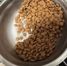 LEGENDSANDY蓝氏狗粮通用金毛拉布拉多泰迪鸡肉三文鱼金枪鱼15kg【囤货装】 实拍图