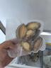 海鲜世家免处理鲍鱼纯肉 净重660g盒装 火锅烧烤食材 生鲜 贝类送礼 实拍图