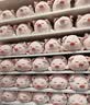 名创优品（MINISO）趣味阿柴弹力超柔趴姿公仔毛绒玩偶儿童玩具抱枕靠枕生日礼物女 实拍图