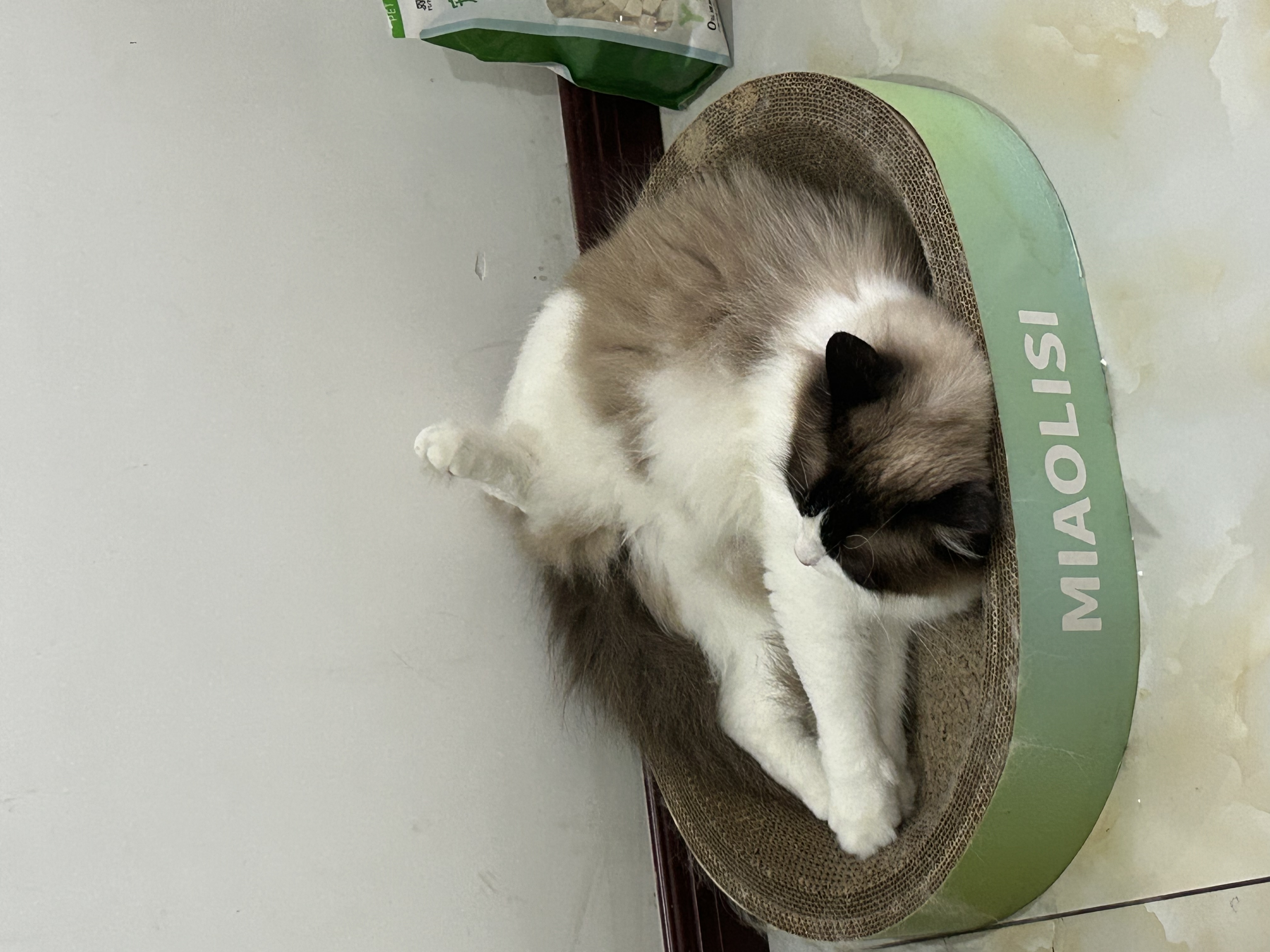 麦富迪猫罐头 barf霸弗主食猫罐头猫咪零食湿粮成猫呵护泌尿100g*12罐 实拍图