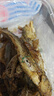 海欣福州大鱼丸300g火锅食材丸子非遗技艺麻辣烫关东煮早餐半成品 实拍图