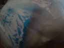 三全豆沙包960g约32只 早餐半成品儿童早点即食包点家庭装速食食品 实拍图
